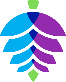 pinecone decorative image